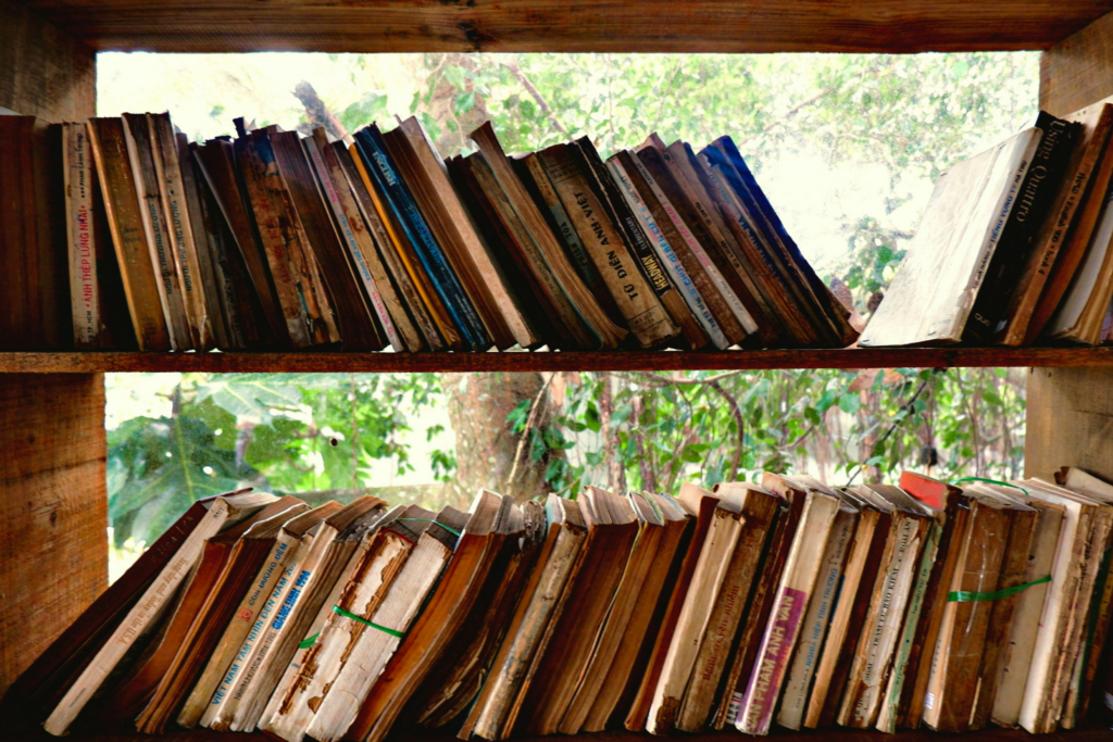 Shelves of books in front of a bright window.